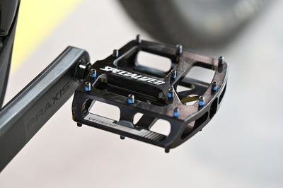 Specialized Turbo Levo Comp Alloy Custom-Umbau