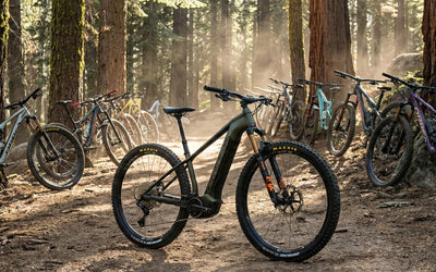 Die neue Orbea Wild-Reihe
