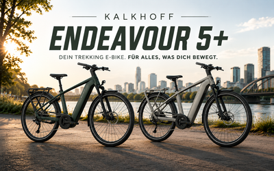 Kalkhoff Endeavour 5+