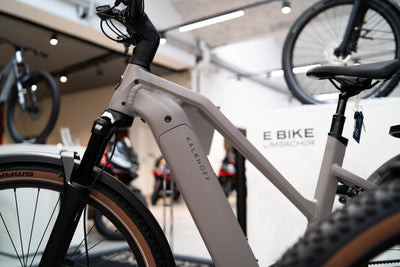 Rahmen & Räder - Tipps bei dem Kauf eines E-Bikes
