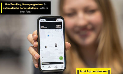 RX-Connect Sicherheitssystem von Riese & Müller