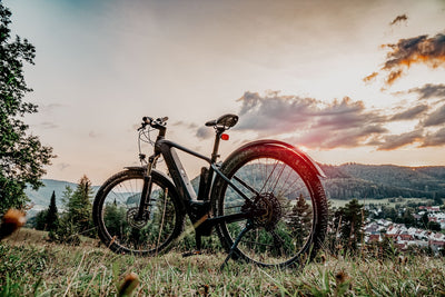 E-Bike / Mountainbike auf einem Berg