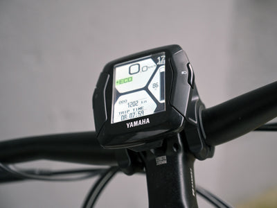 R Raymon Gebrauchtrad TourRay E 5.0 Gent