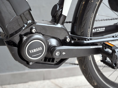 R Raymon Gebrauchtrad TourRay E 5.0 Gent