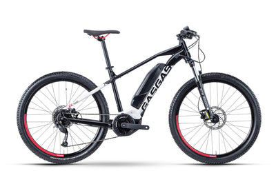 Gas Gas G Cross Country 4.0