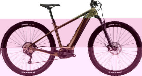 Cannondale Trail Neo 2