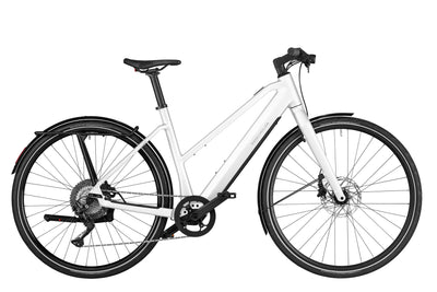 Riese & Müller UBN Seven touring Testbike