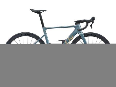 Liv EnviLiv Advanced 2