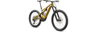 Specialized Turbo Levo Expert T-Typ