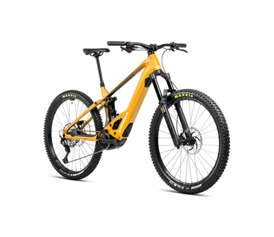 ORBEA WILD H20