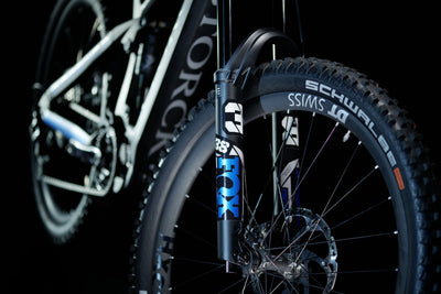 Storck Leihrad e:drenic.2 GTS 630