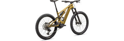 Specialized Turbo Levo Expert T-Typ