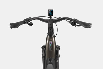 Cannondale Tesoro 1 Low Step-Thru