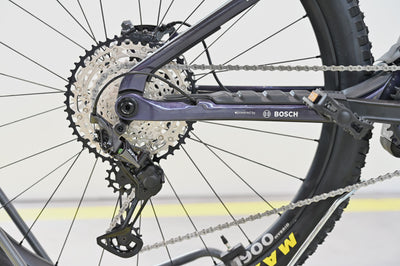 ORBEA WILD M10 Custom