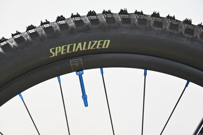 Specialized Turbo Levo Comp Alloy Custom-Umbau
