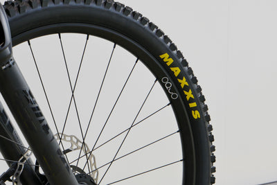 ORBEA WILD M10