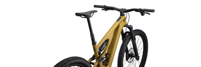 Specialized Turbo Levo Expert T-Typ