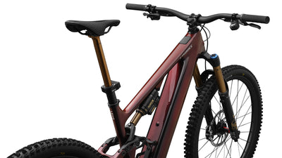 Specialized S-Works Turbo Levo 4