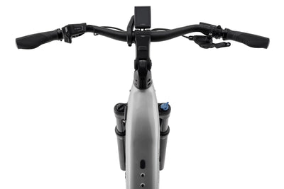 Cannondale Tesoro Neo X 1 Low StepThru