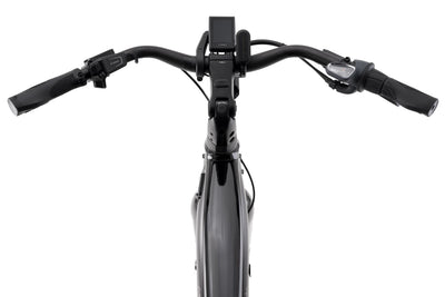 Cannondale Mavaro Neo 1