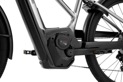 Cannondale Tesoro Neo X 1 StepThru