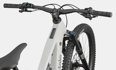 Cannondale Moterra 3