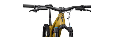 Specialized Turbo Levo Expert T-Typ