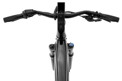 Cannondale Tesoro Neo X 1