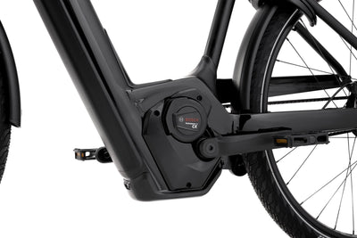 Cannondale Mavaro Neo 1