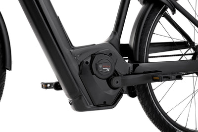 Cannondale Mavaro Neo 1
