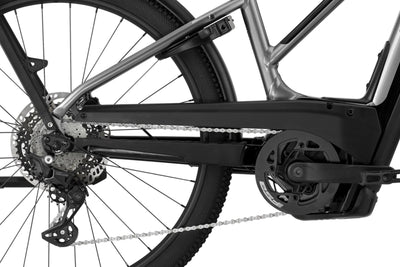 Cannondale Tesoro Neo X 1 StepThru