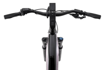 Cannondale Vorführer Tesoro Neo X 1 StepThru