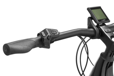 Cannondale Tesoro Neo X 2 Low StepThru