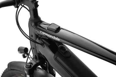 Cannondale Tesoro Neo X 2