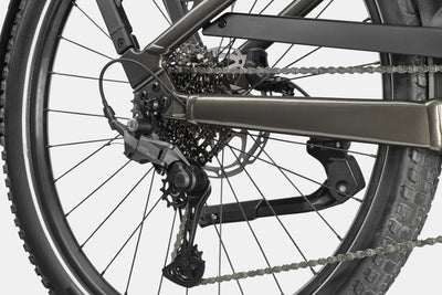 Cannondale Tesoro 1 Low Step-Thru