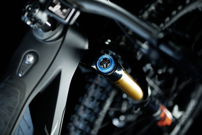 Storck Vorführer e:drenalin.2 GTS 630 XT