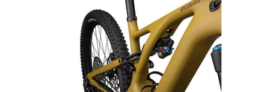 Specialized Turbo Levo Expert T-Typ