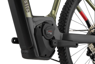 Cannondale Trail Neo 1