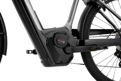 Cannondale Tesoro Neo X 1