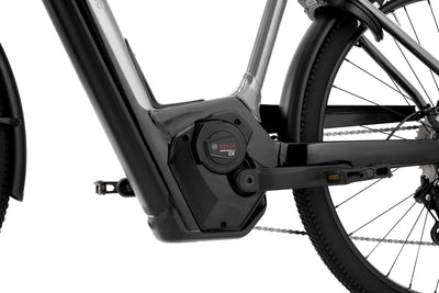 Cannondale Tesoro Neo X 1