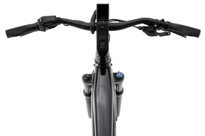 Cannondale Tesoro Neo X 1