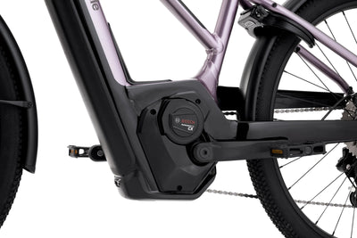 Cannondale Tesoro Neo X 1 StepThru