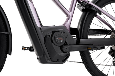 Cannondale Tesoro Neo X 1 StepThru