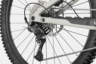 Cannondale Moterra 3