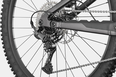 Cannondale Moterra 3