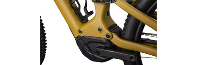 Specialized Turbo Levo Expert T-Typ