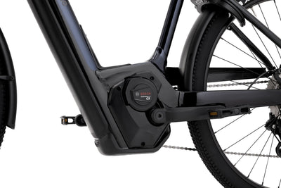 Cannondale Tesoro Neo X 1