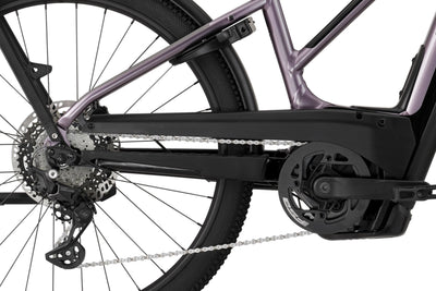 Cannondale Tesoro Neo X 1 StepThru