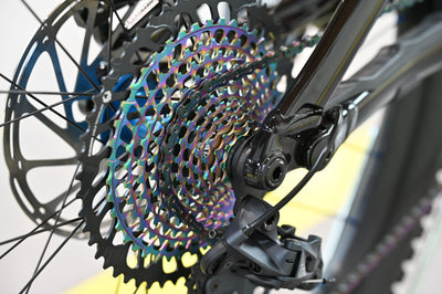 Specialized Turbo Levo Comp Alloy Custom-Umbau