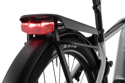 Cannondale Tesoro Neo X 1
